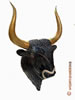 Picture of Bull's head from Knossos