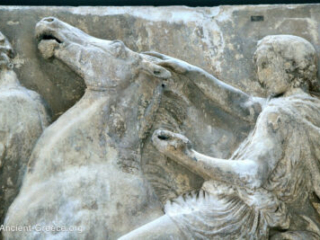 Detail from the Parthenon frieze