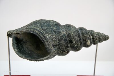 Agios Nikolaos Archaeological Museum – Αρχαιολογικό Μουσείο Αγίου Νικολάου