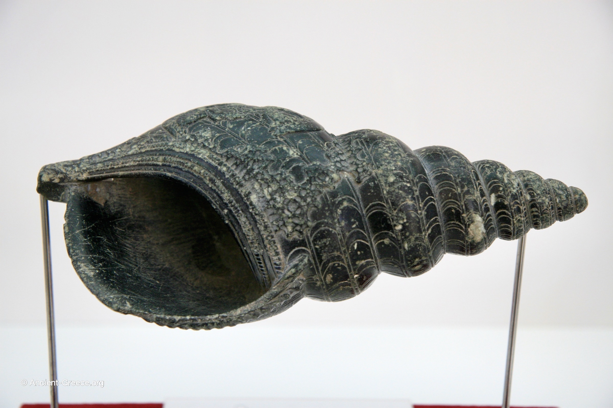 Triton Shell Ritual Vessel