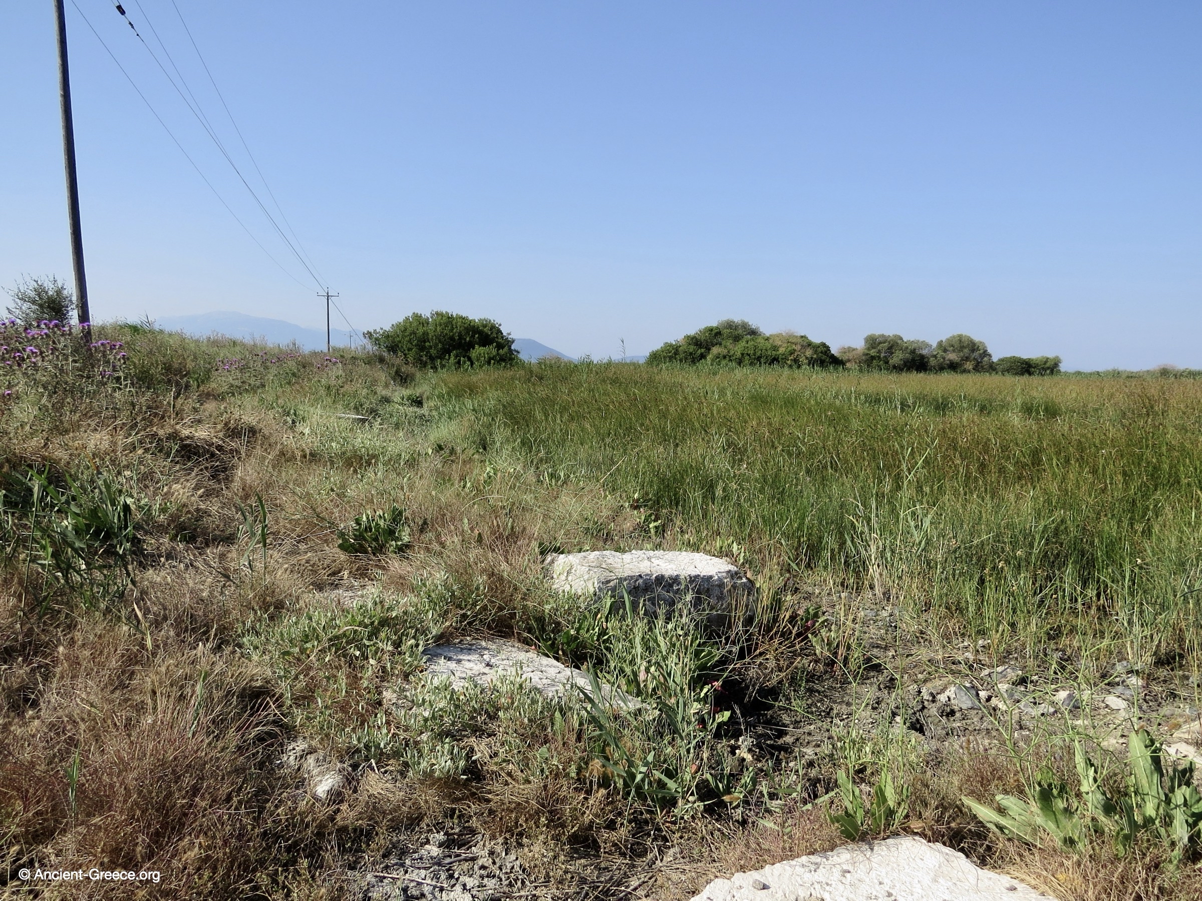Ancient ruins engulfed in the marshland.