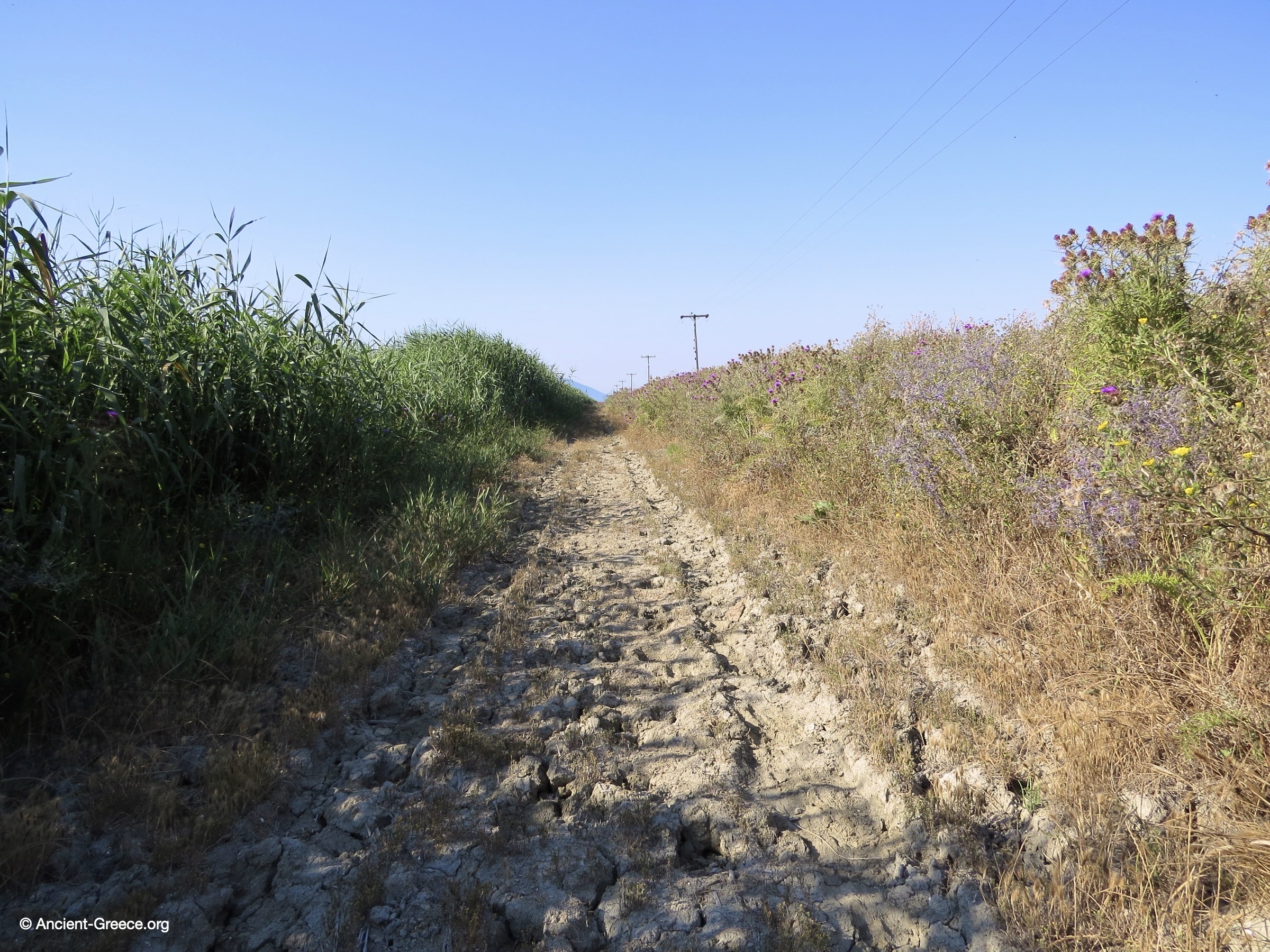 The road to the Ancient ruins of Ambracus