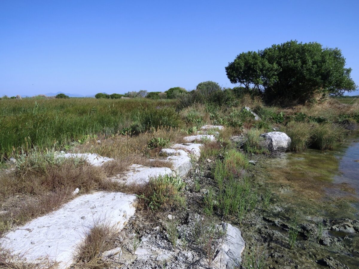 Ancient ruins engulfed in the marshland.