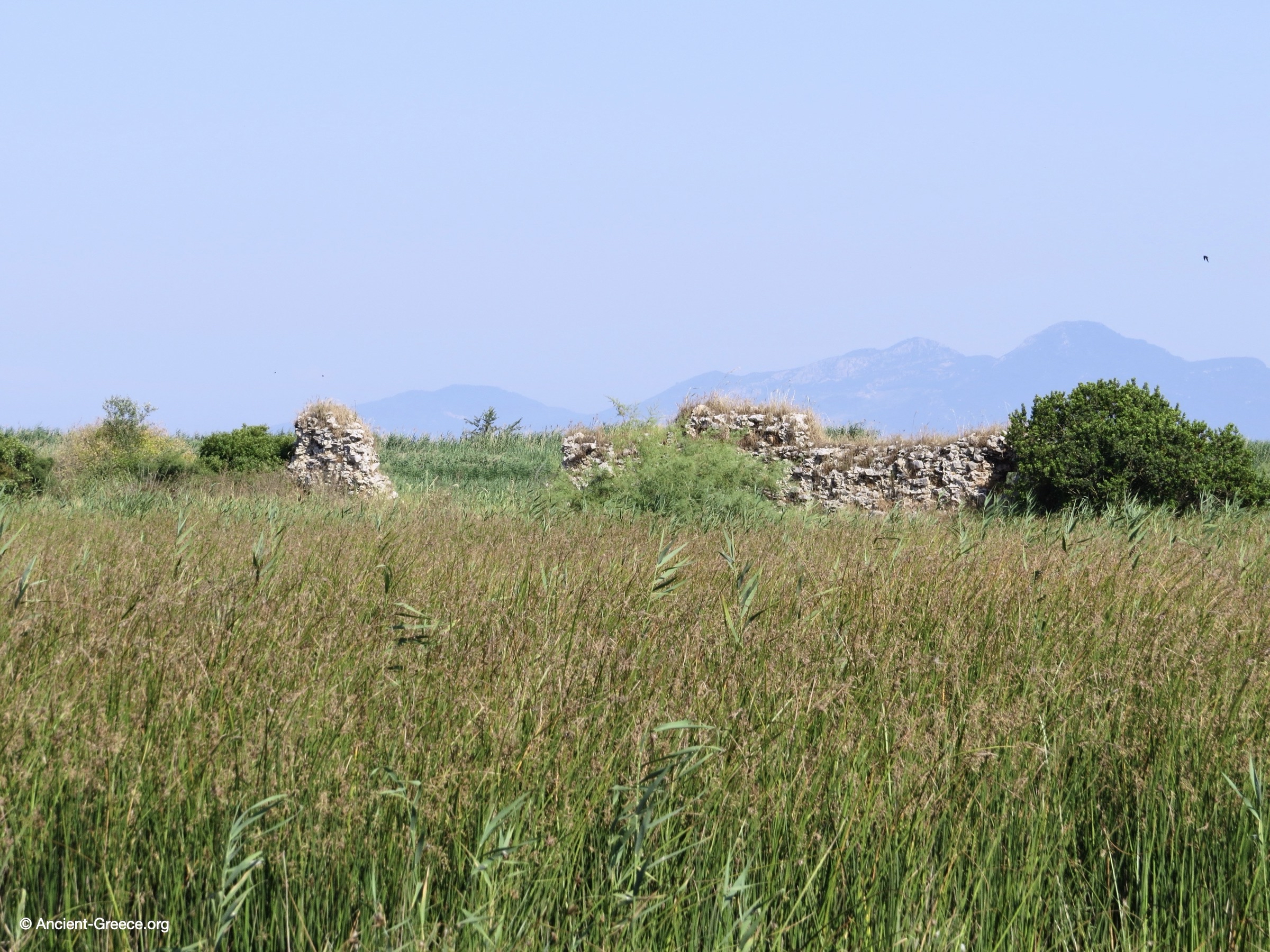 Ancient ruins engulfed in the marshland.