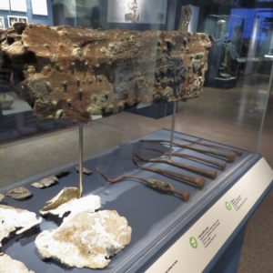 Antikythera Shipwreck - 1 Antikythera Shipwreck: A piece of a plank from the lower part of the ship's hall, sheets of lead, and bronze spikes.