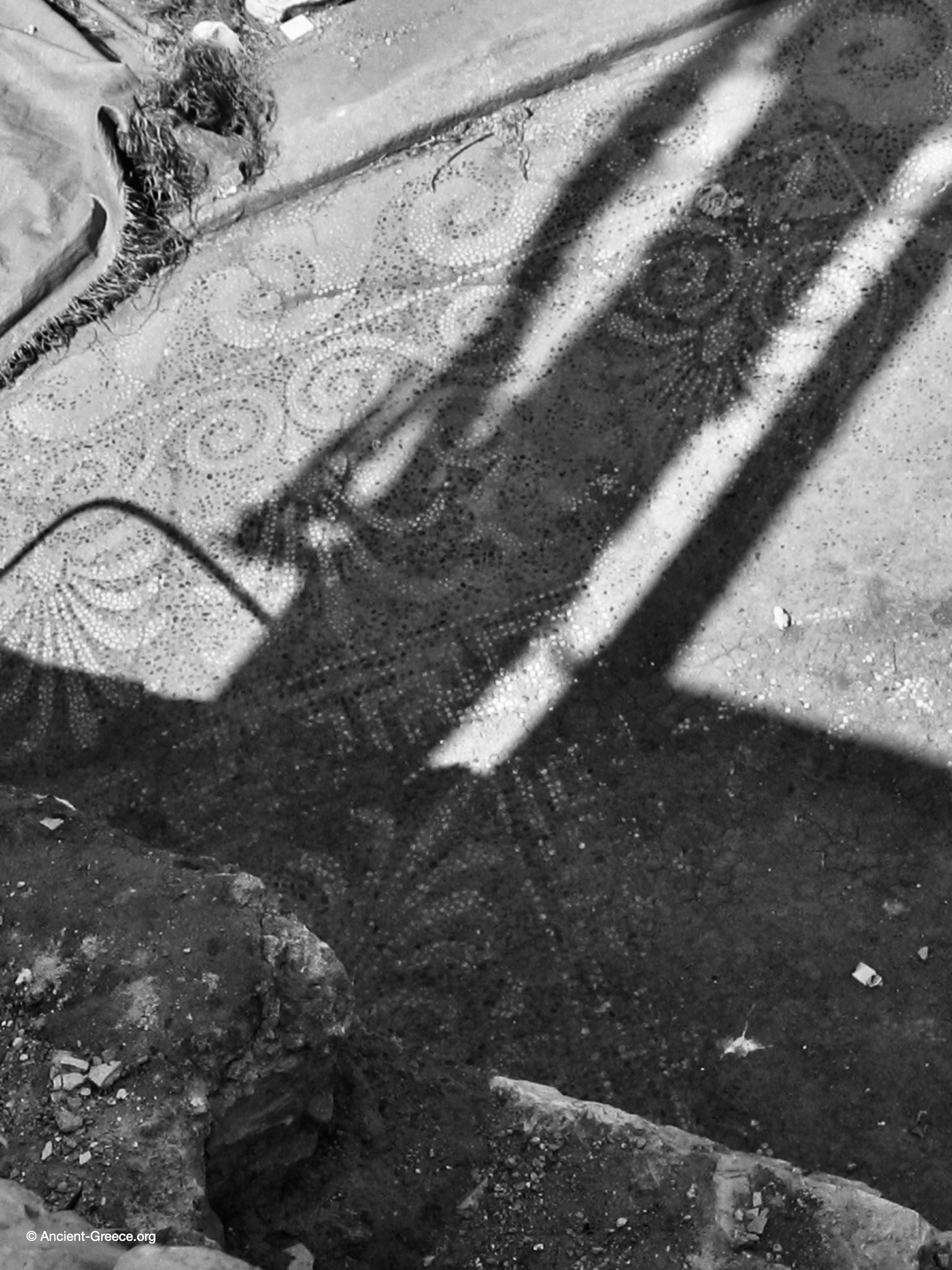 Mosaic Floor from a Private