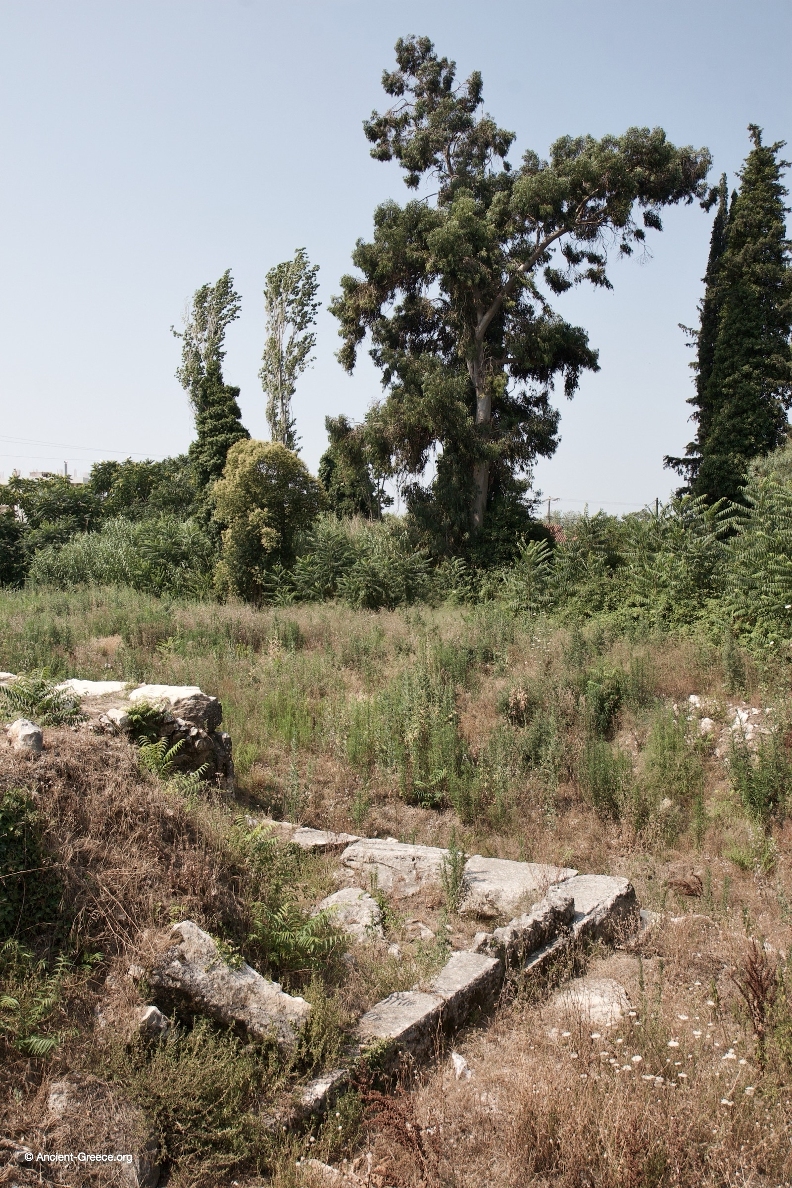 Fortifications of Arta and Ancient Ambracia