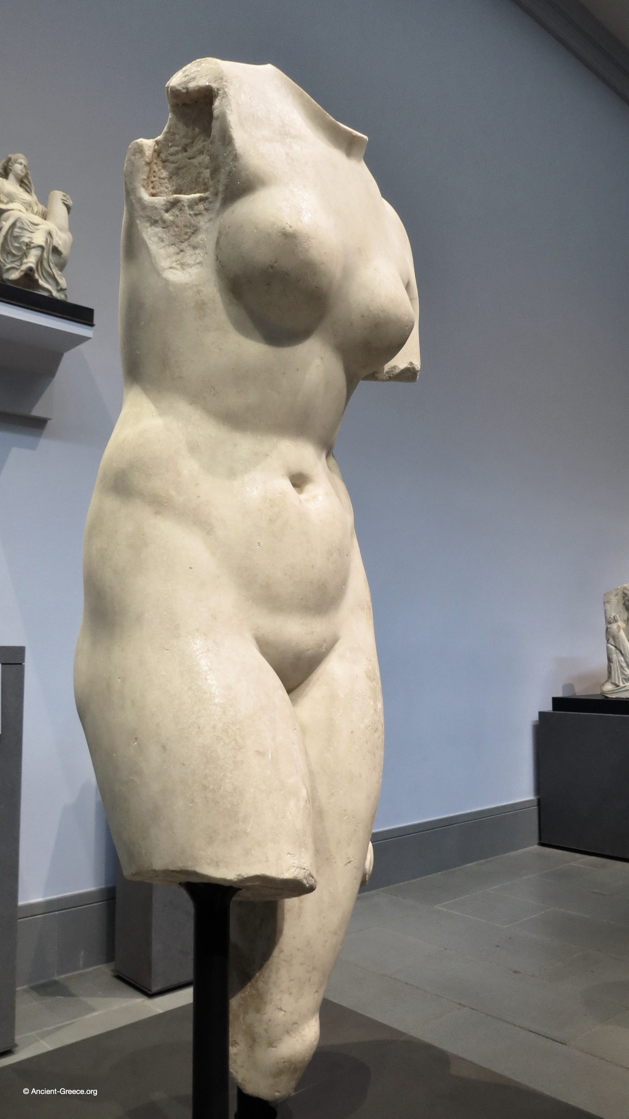 Torso of Venus (Capitoline Type)