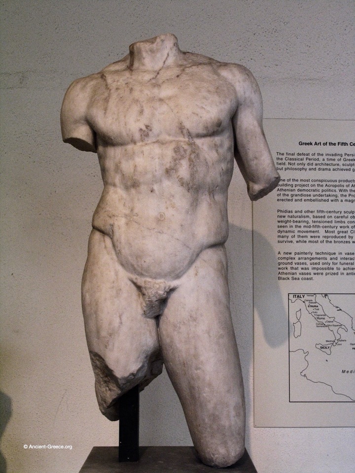 Male torso