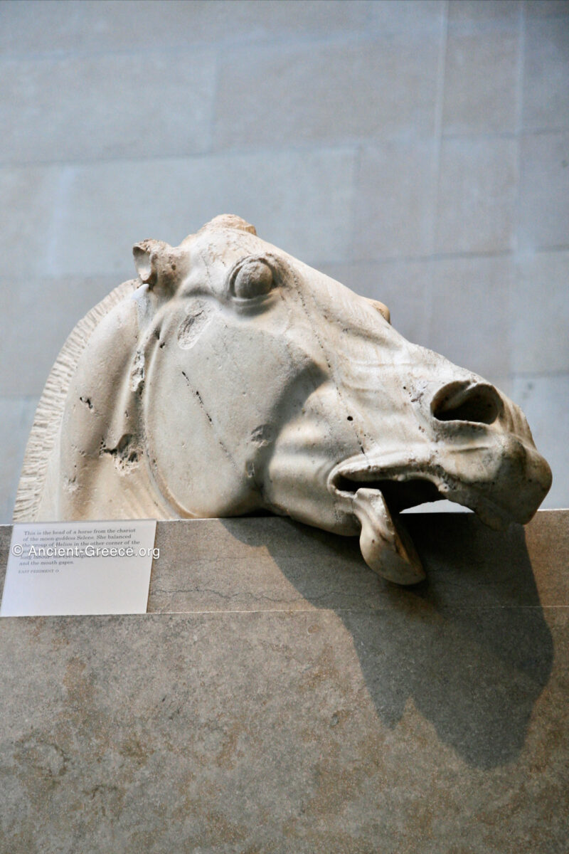 British Museum - Parthenon Pediment - O - Chariot Horse of Selene Parthenon East pediment fragment of horse's head