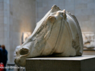 Parthenon East pediment fragment of horse's head