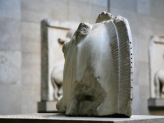 Parthenon East pediment fragment of horse's head