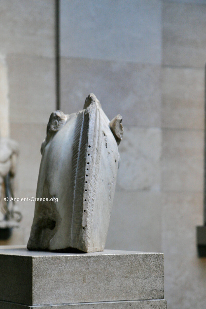 British Museum - Parthenon Pediment - O - Chariot Horse of Selene Parthenon East pediment fragment of horse's head