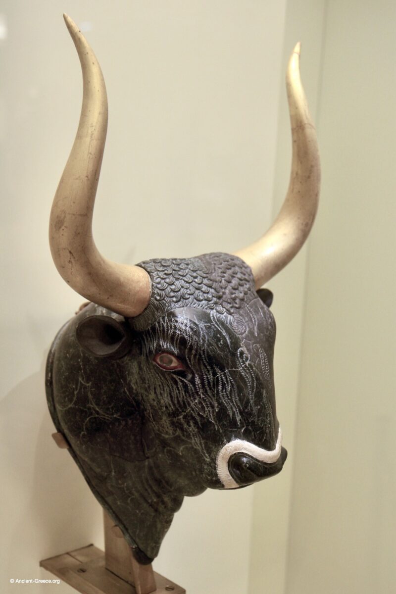 Libation vase in the shape of a bull's head.