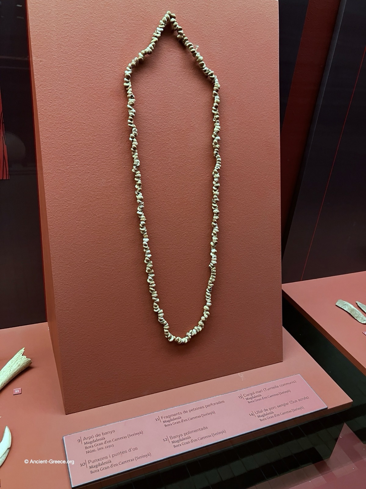 Stone Age necklace with shells.