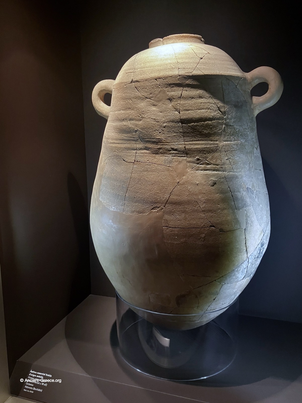 commercial amphora