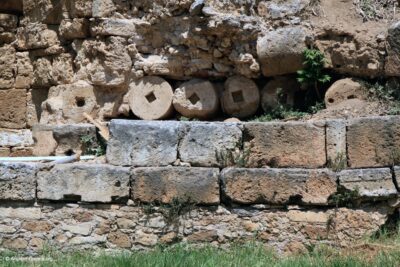 Kydonia | Κυδωνία