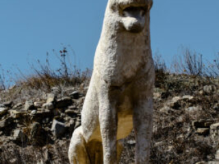 Ancient lion at Delos