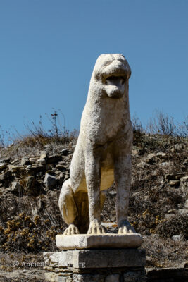 Ancient lion at Delos