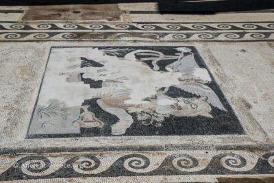 The House of Dionysus Mosaic Detail