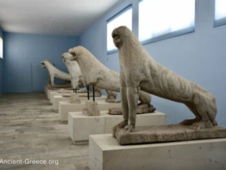 The original lion sculptures from the Terrace of the Lions on display in the museum.