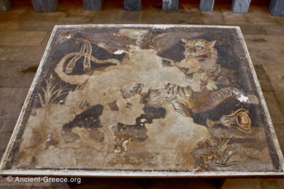 mosaic from the House of Dionysos