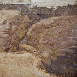 Mosaic detail: face of the tiger