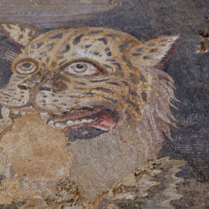 Mosaic detail: face of the tiger.