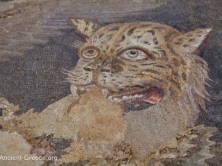 Mosaic detail: face of the tiger.