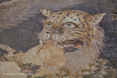 Mosaic detail: face of the tiger.