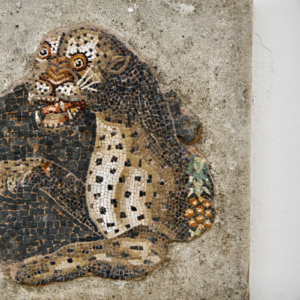 Delos Archaeological Museum - Mosaic fragment