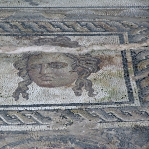 Dion Archaeological Museum - 1 Dion Archaeological Museum Exhibition