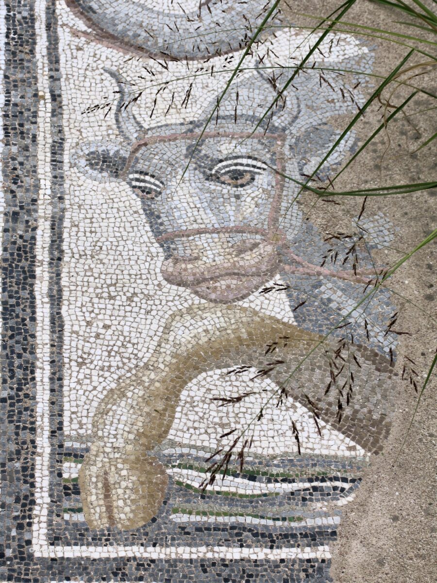 Dion Archaeological Site