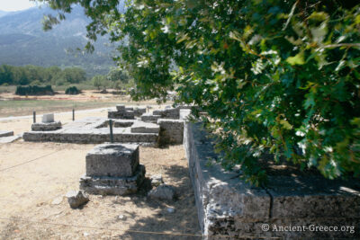 Dodona oracle view with oak tree leaves rustling