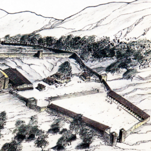 Dodona Oracle Reconstruction