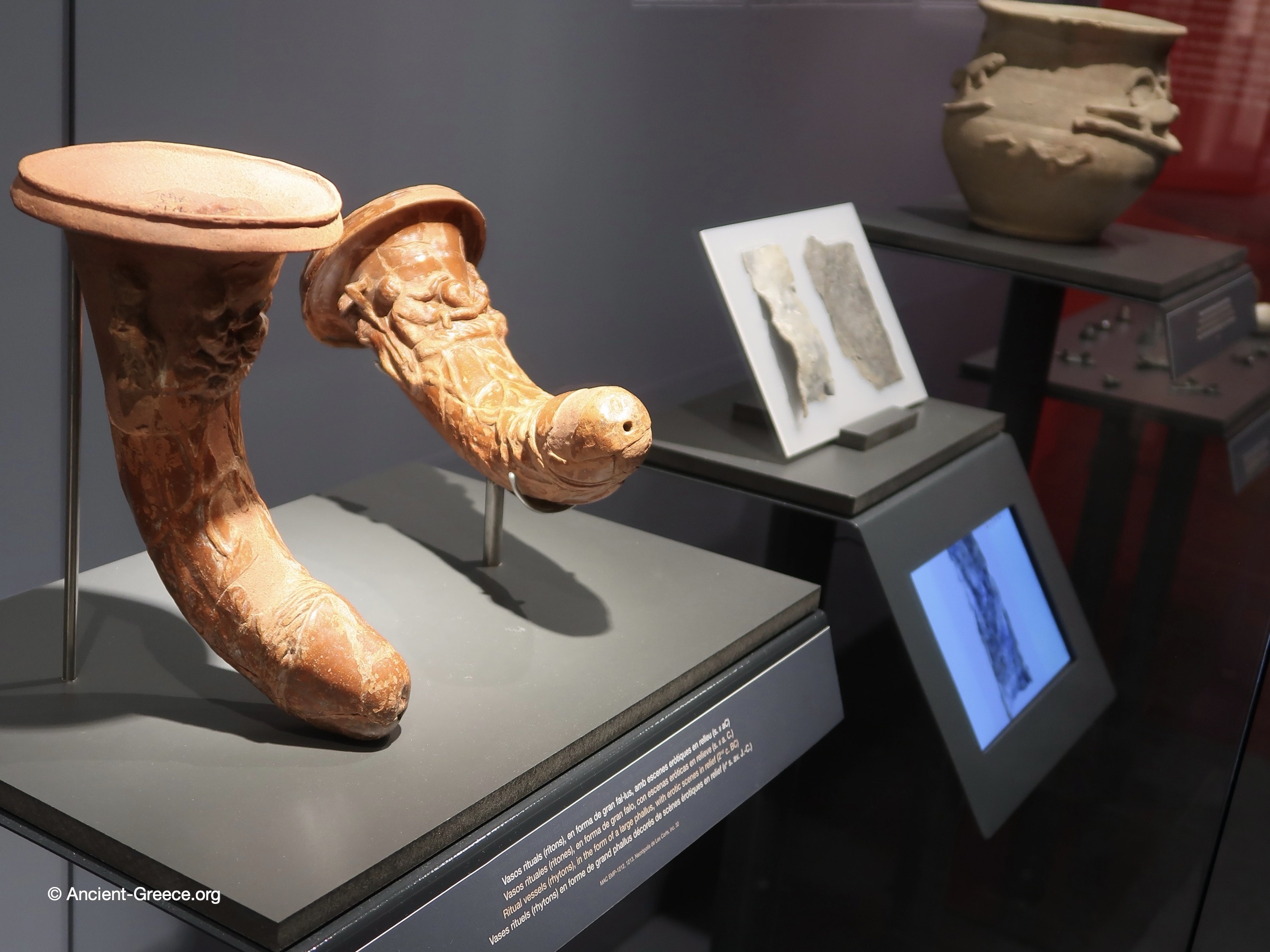 Phalic ritual vesels (rhytons)