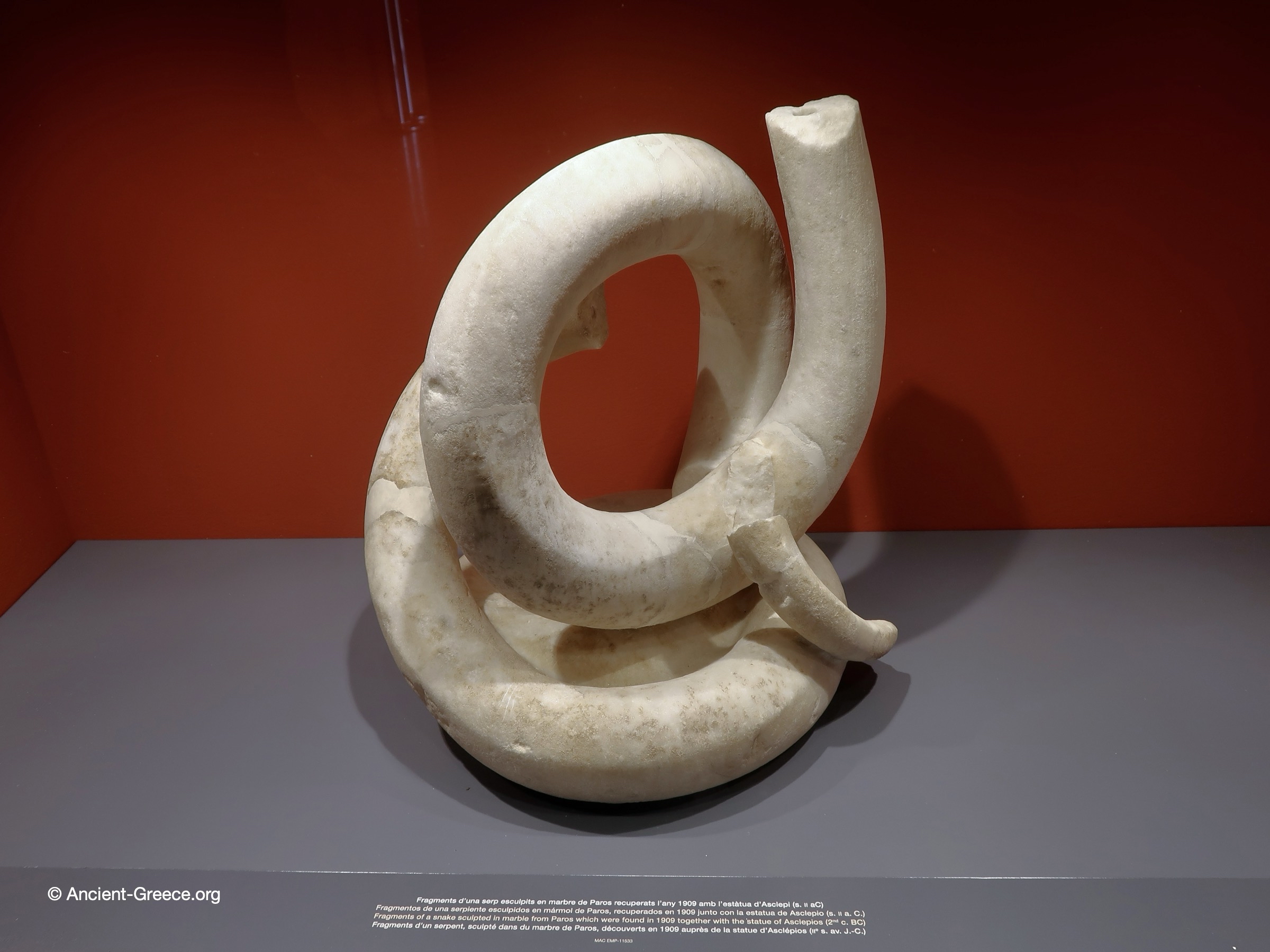 Marble snake fragment
