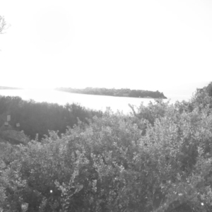 Franchthi Cave B&amp;W Panorama