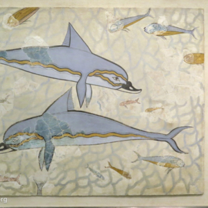 Dolphin Fresco from Knossos