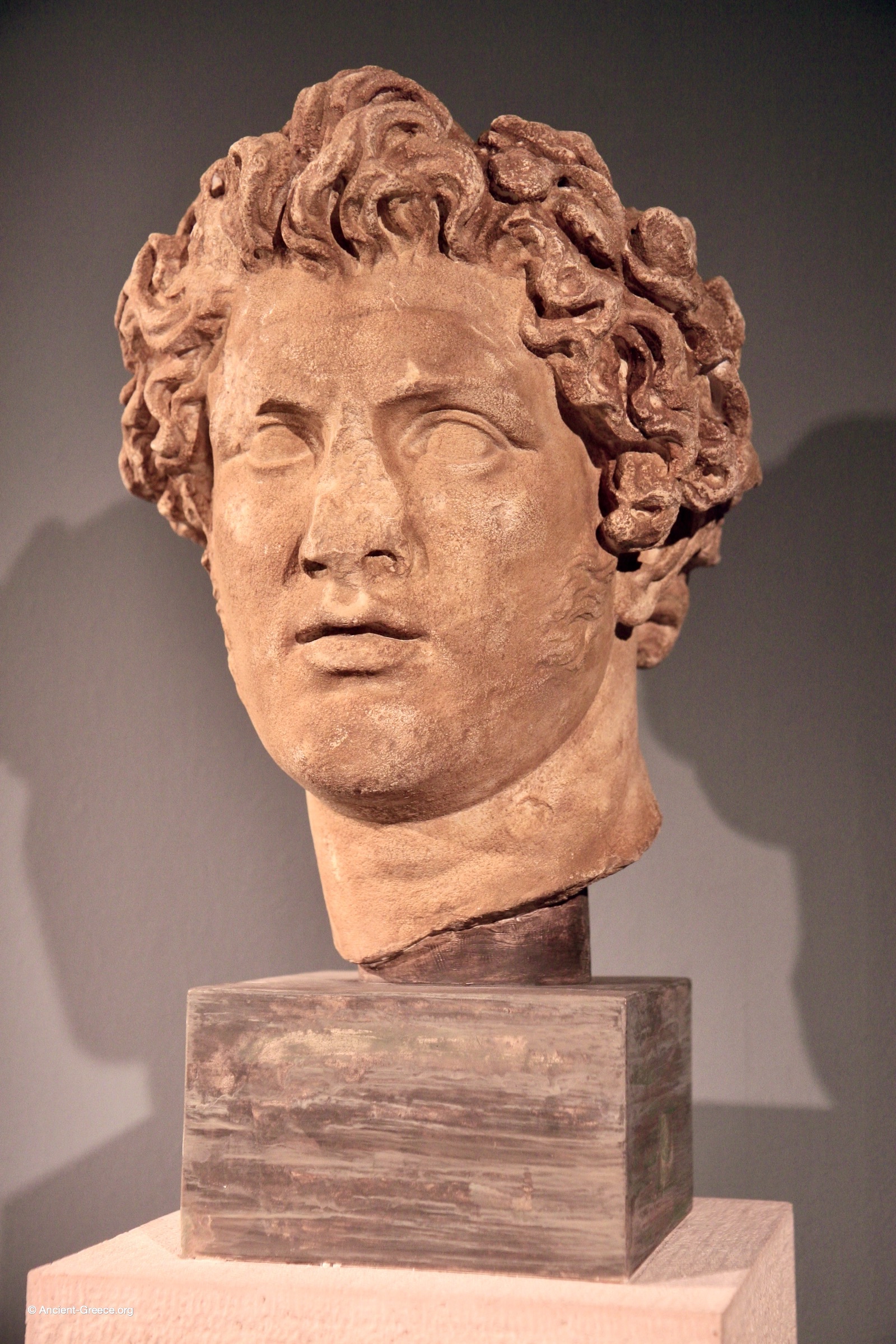 Portrait bust of King Pyrrhus