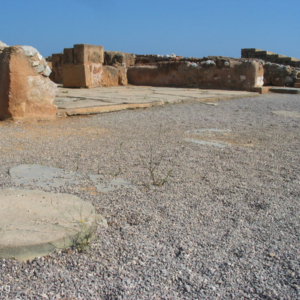 Malia Central Court Detail Malia Central Court Detail
