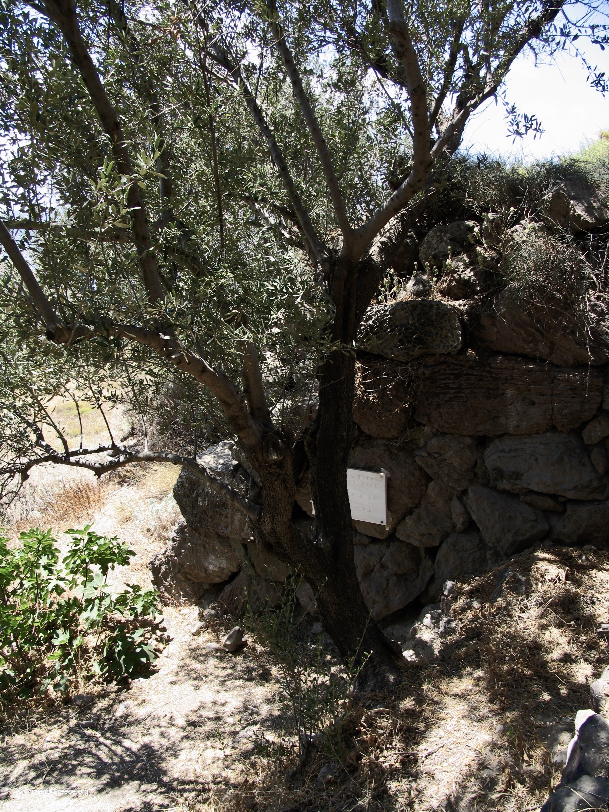 Marker at the discovery site