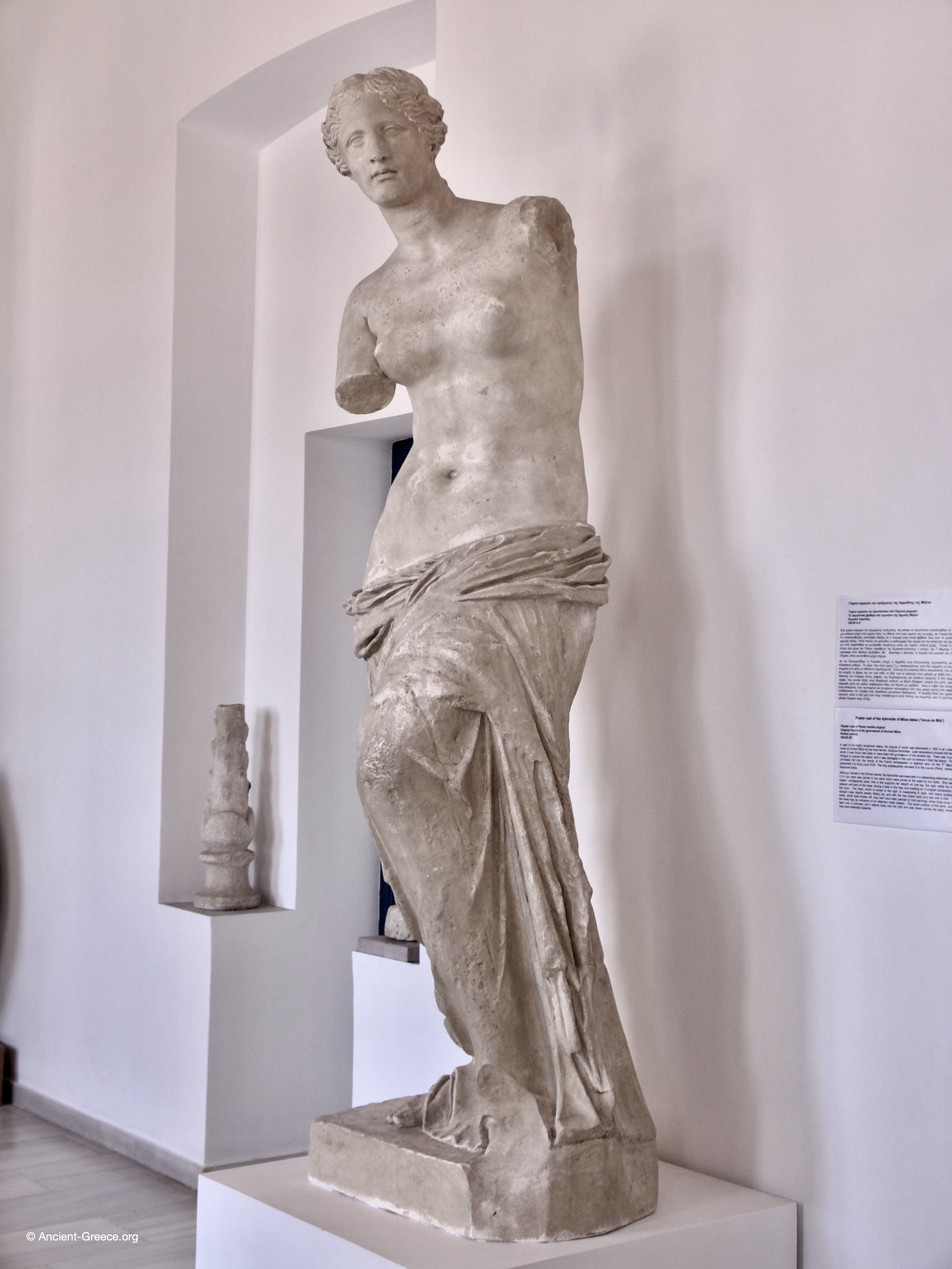 Plaster copy of the Venus