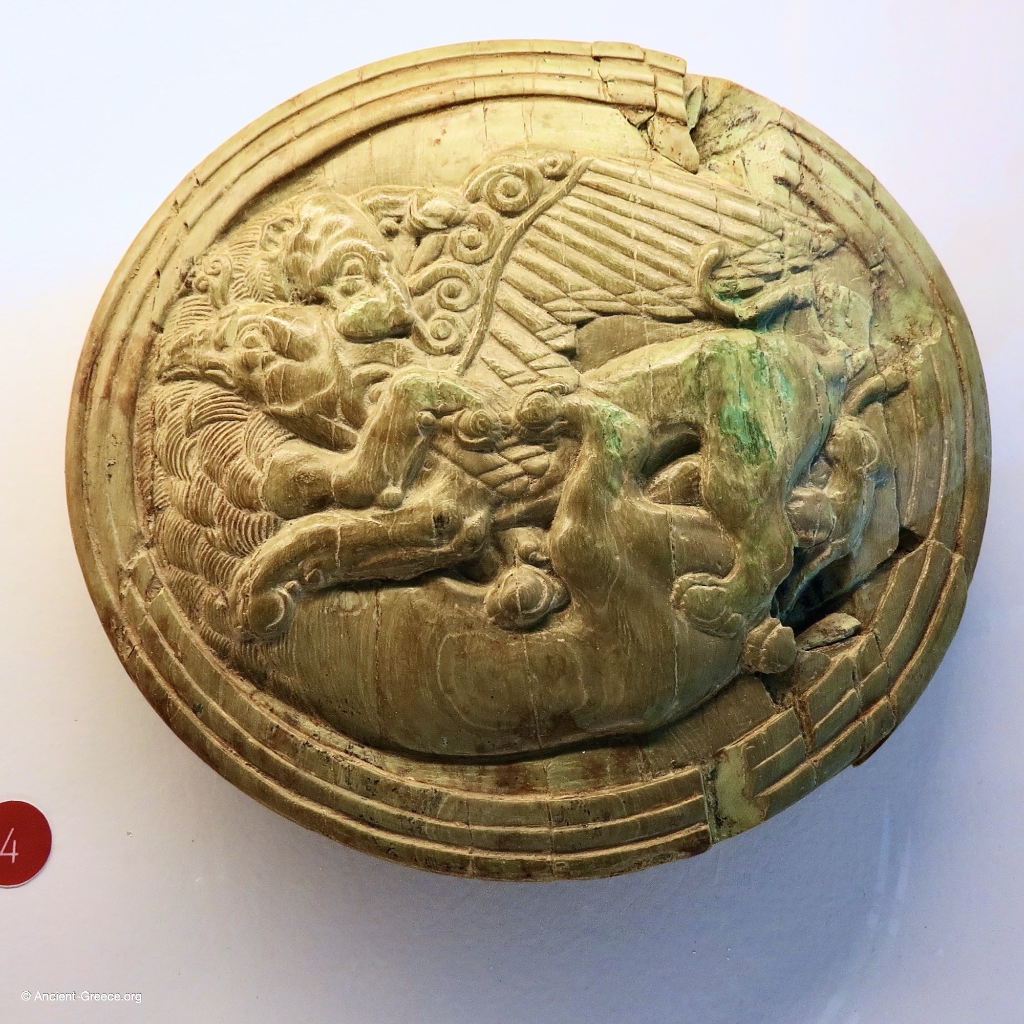 Ivory Pyxis Lid Ivory Lion