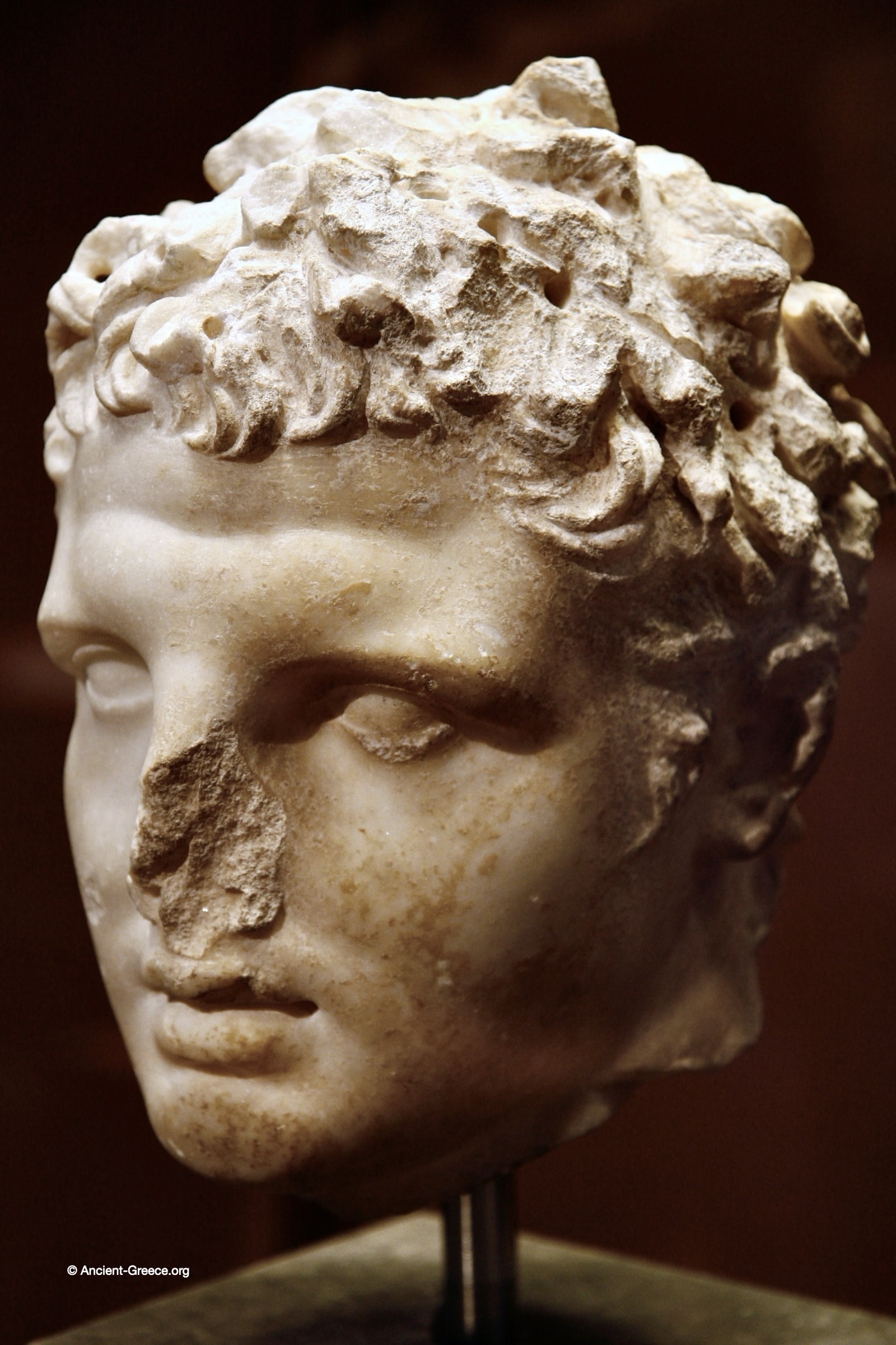 Marble head of a youth, known as the Aberdeen Head.