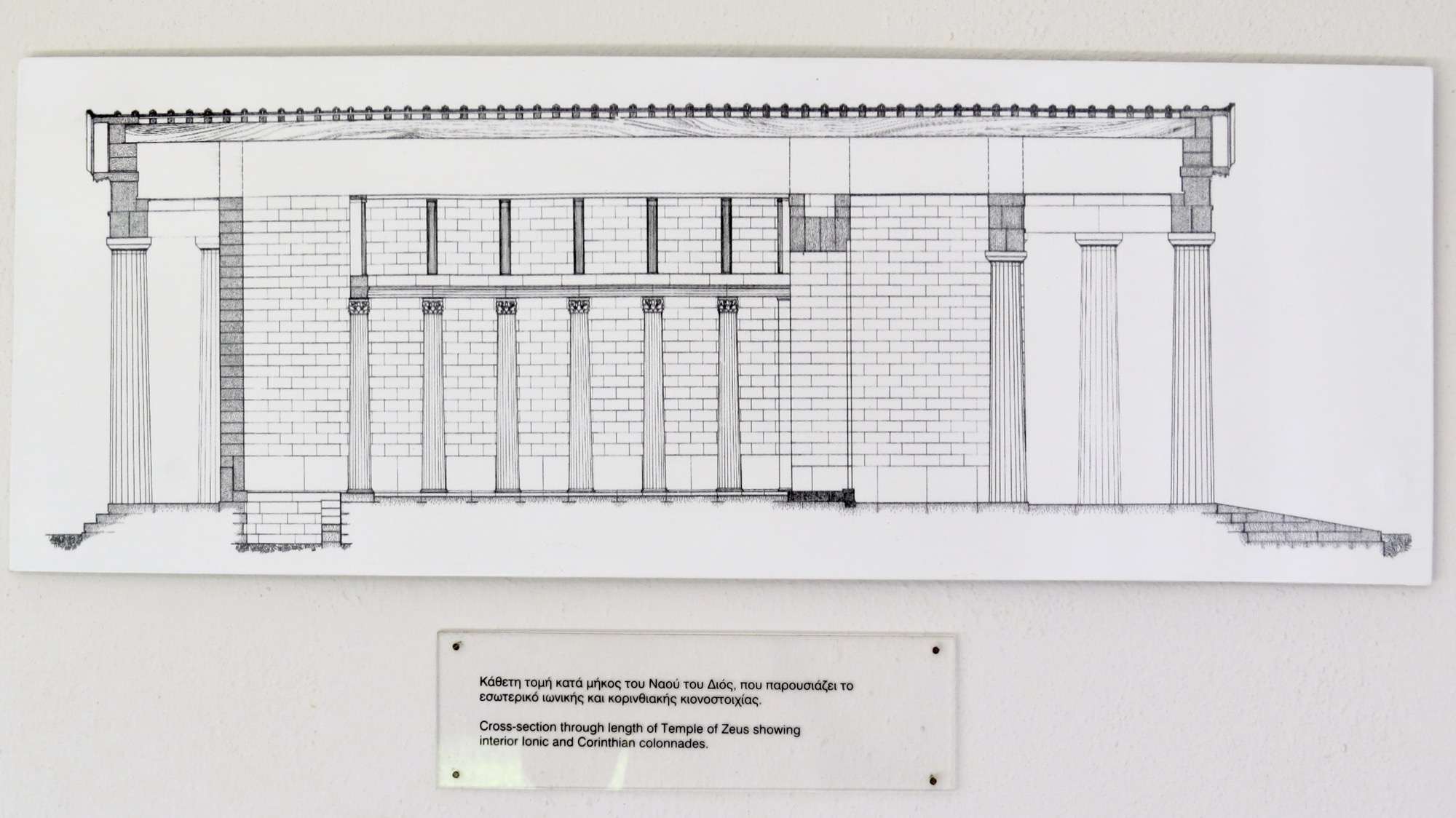 Architectural longitudinal section of the
