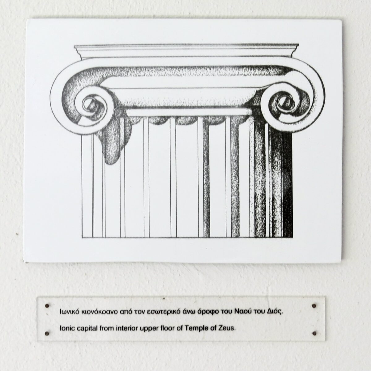 Architectural illustration of an Ionic