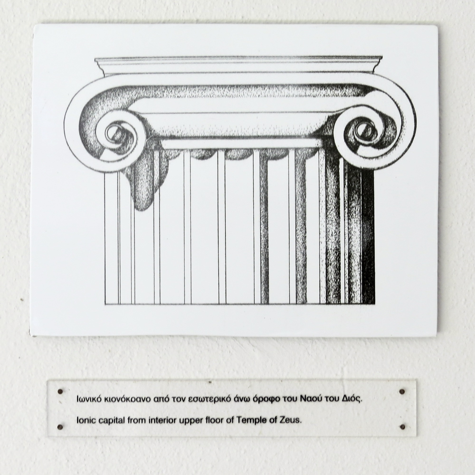 Architectural illustration of an Ionic