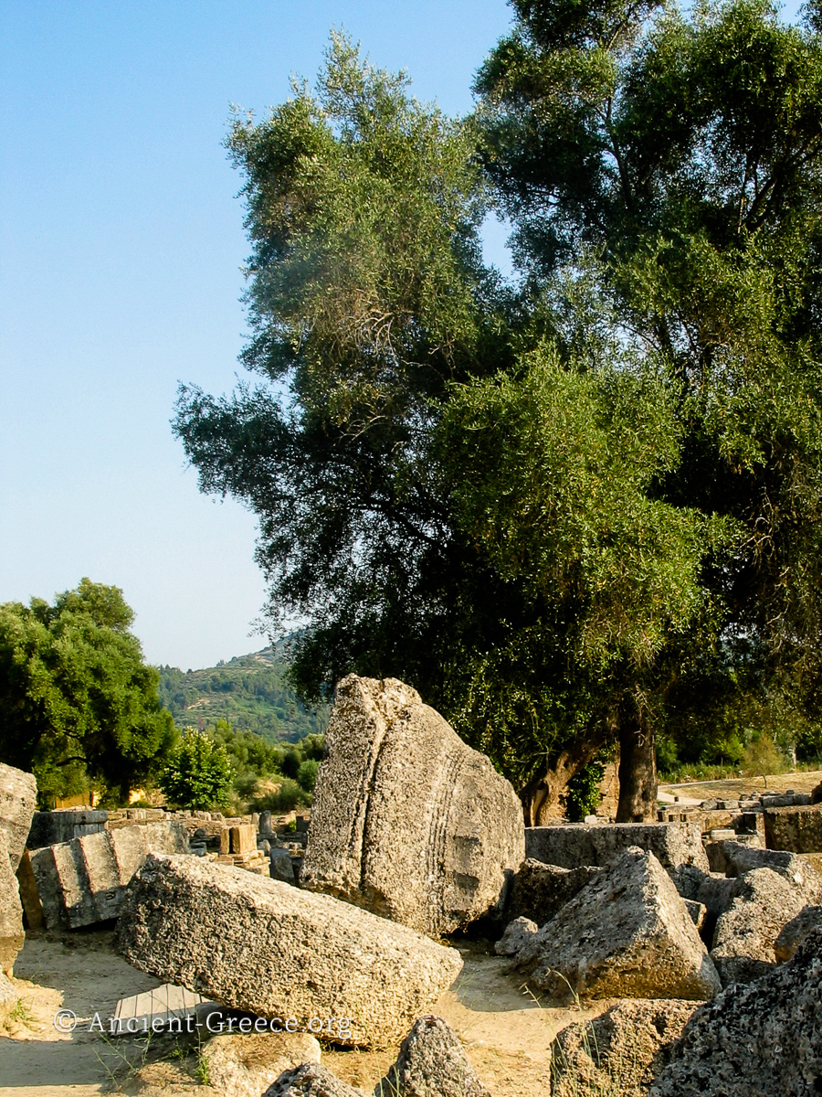 Ruins of the temple of Zeus
